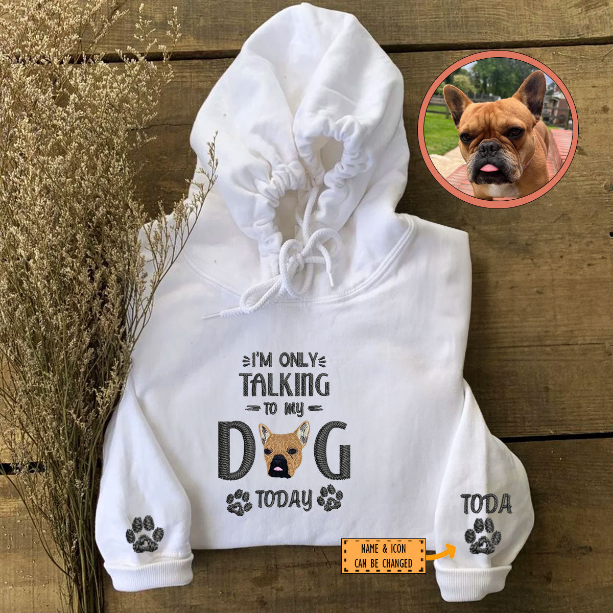 Custom Full-Color I'm Only Talking To My Dog Today Embroidered Hoodie | Gift For Pet Lovers