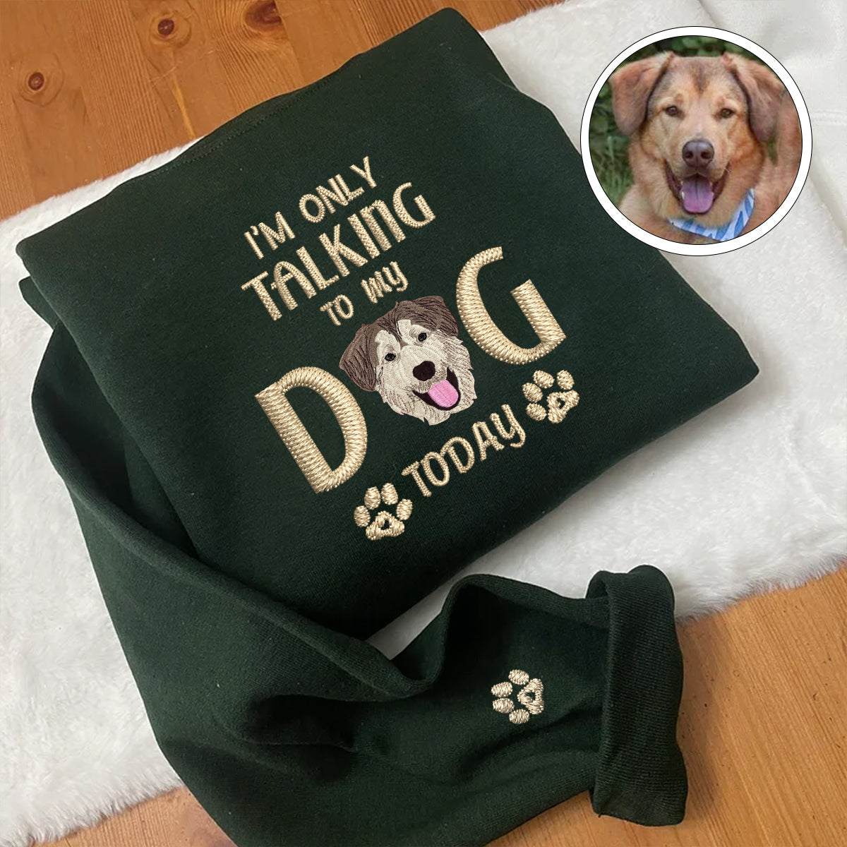 Custom Full-Color I'm Only Talking To My Dog Today Embroidered Hoodie | Gift For Pet Lovers