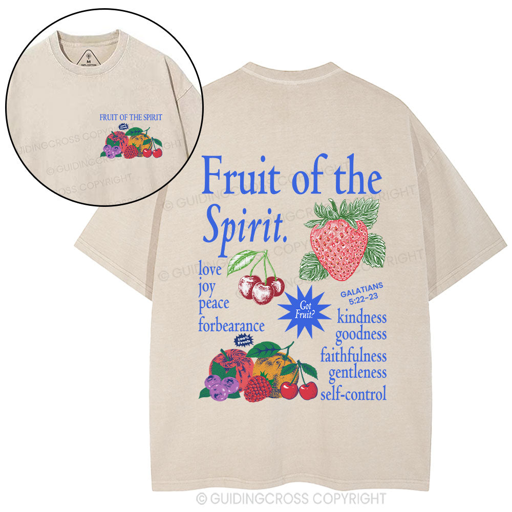Fruit Of The Spirit Christian Washed T-Shirt