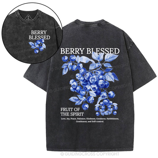 Fruit Of The Spirit Christian Washed T-Shirt
