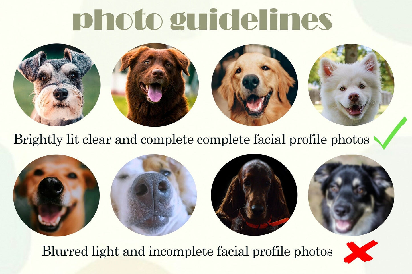 Custom Dog Face Outline Embroidered Hat | Gift For Pet Lovers