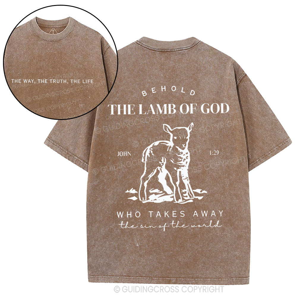 The Lamb Of God Christian Washed T-Shirt