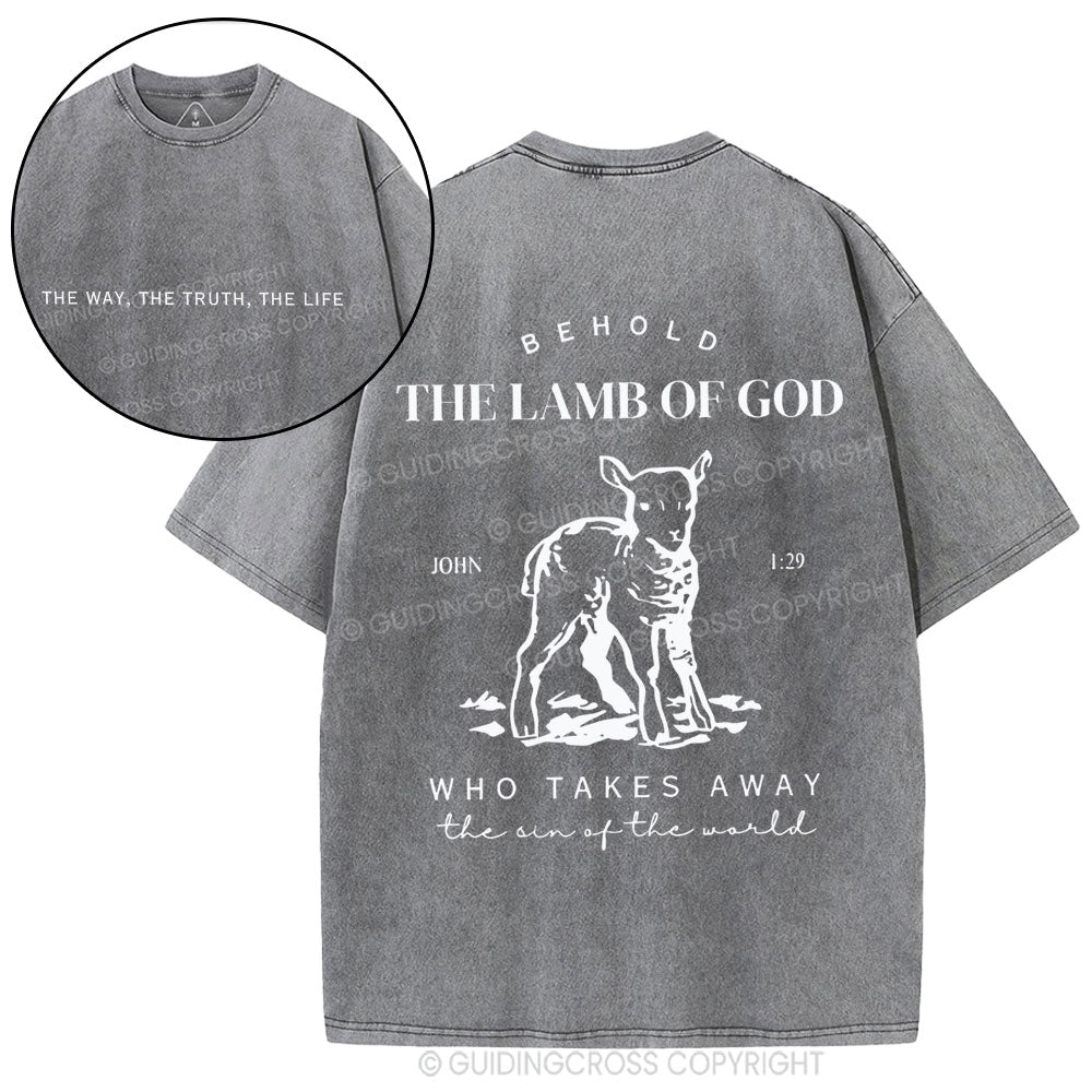 The Lamb Of God Christian Washed T-Shirt