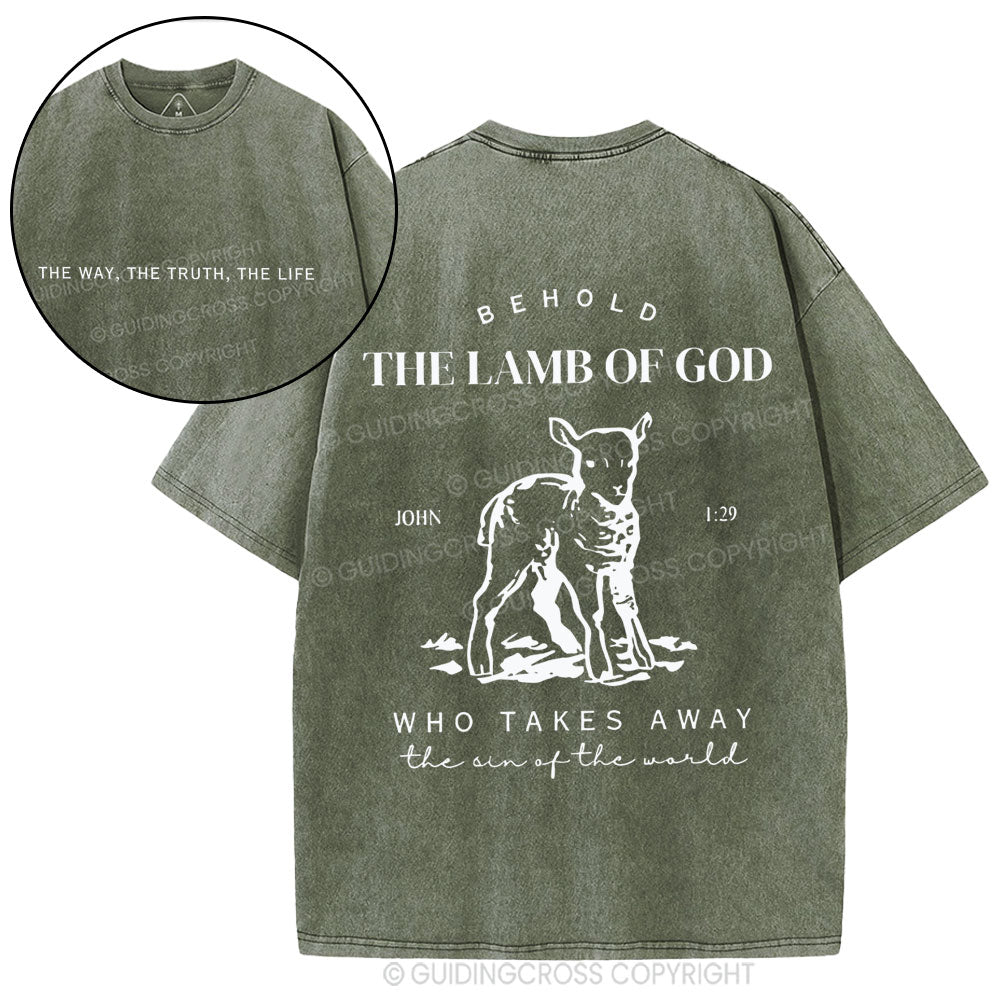 The Lamb Of God Christian Washed T-Shirt