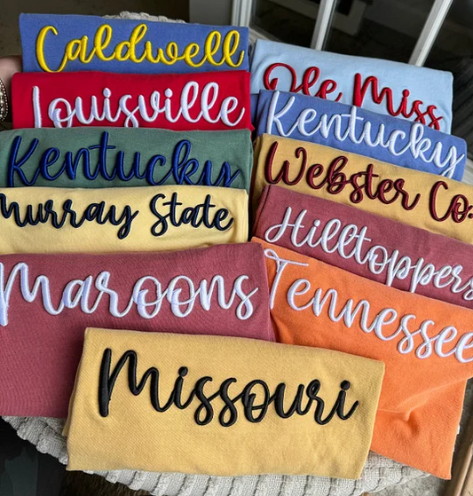 Custom 3D Puff Embroidery Sweatshirt/T-shirt/Hoodi,Gift For Game Day
