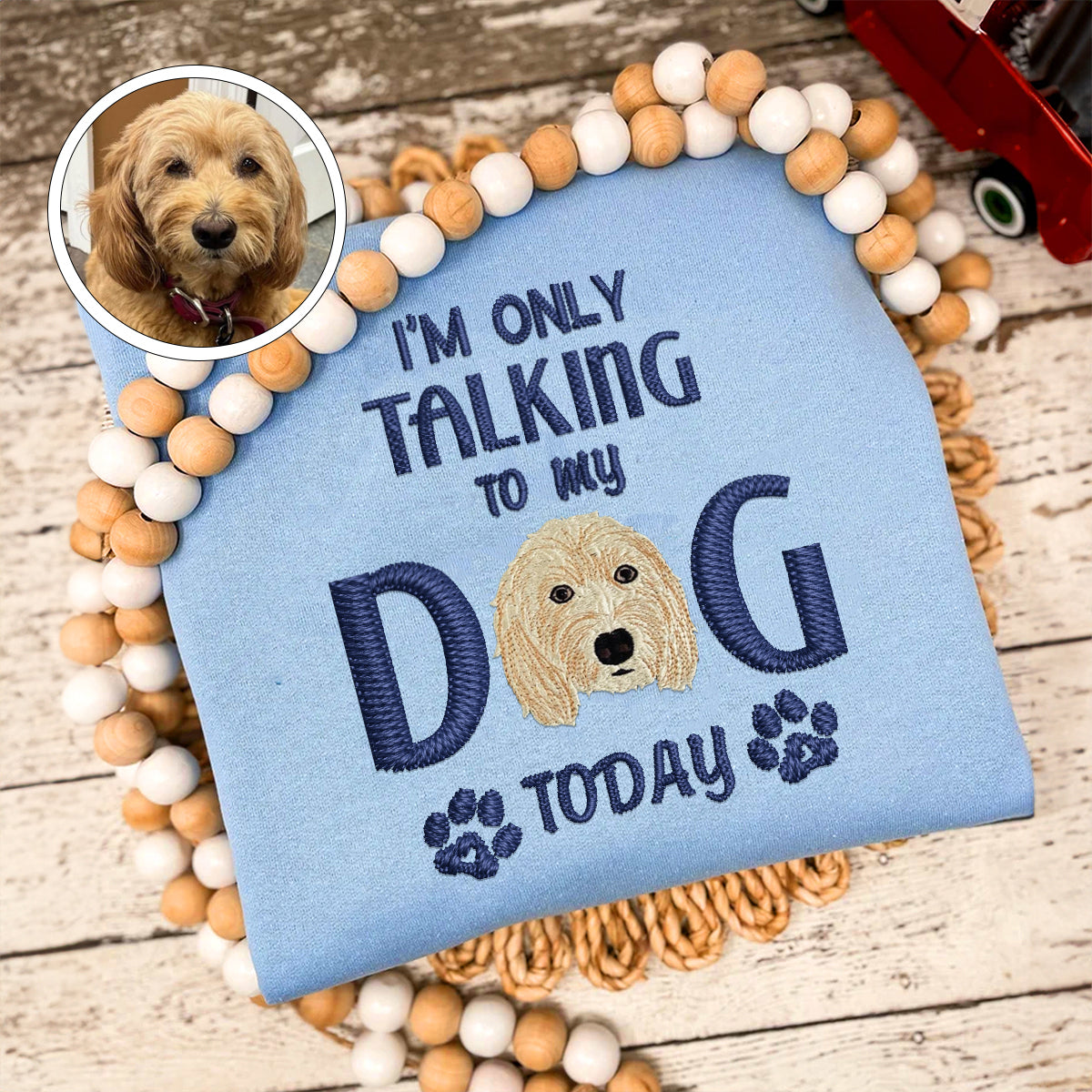 Custom Full-Color I'm Only Talking To My Dog Today Embroidered Sweatshirt | Gift For Pet Lovers