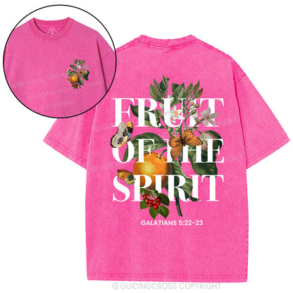 Fruit Of The Spirit Christian Washed T-Shirt