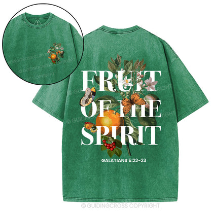 Fruit Of The Spirit Christian Washed T-Shirt