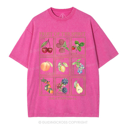 Fruit Of The Spirit Christian Washed T-Shirt