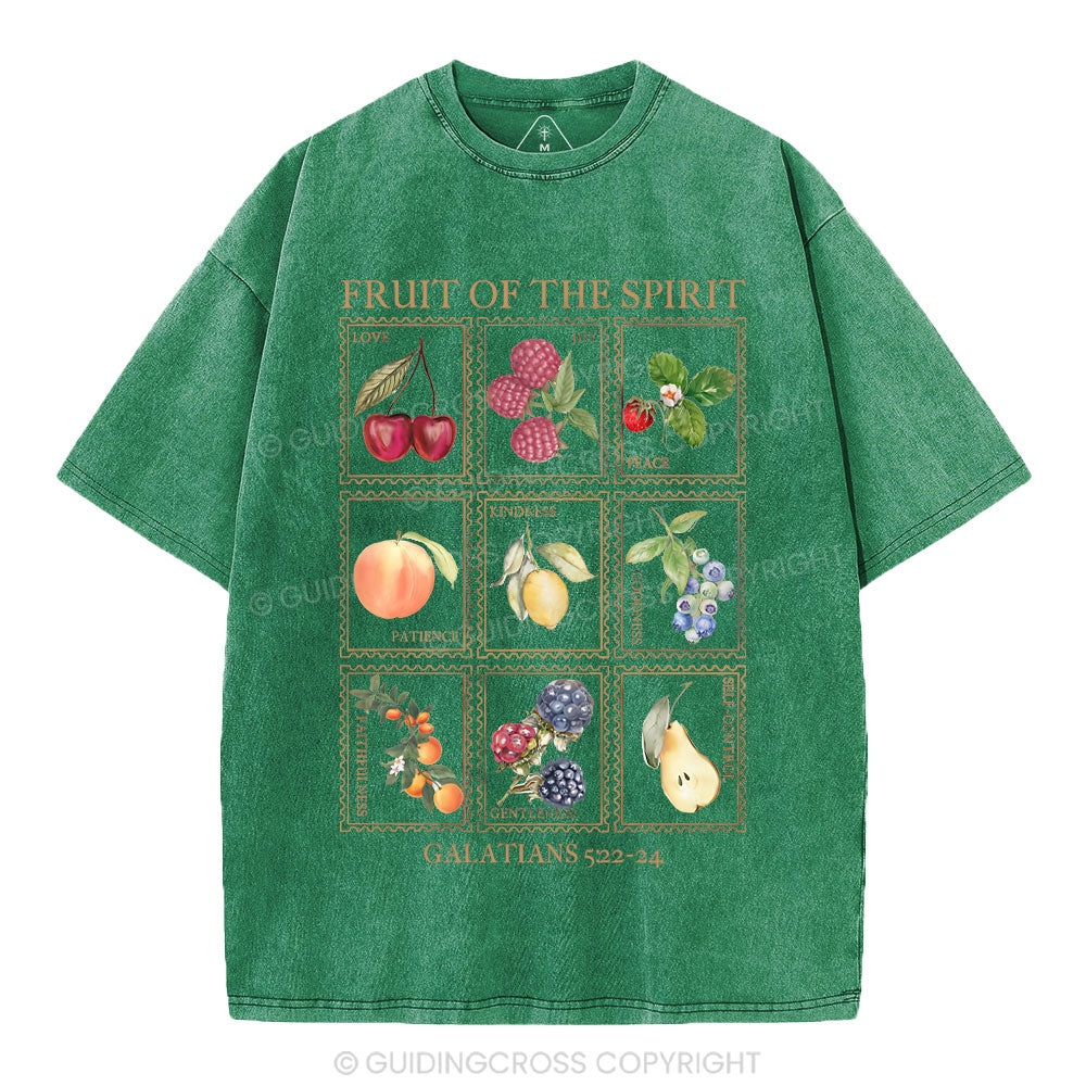 Fruit Of The Spirit Christian Washed T-Shirt