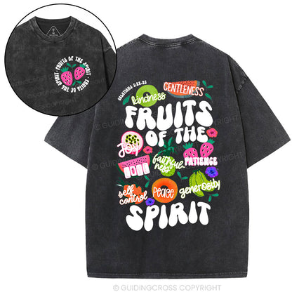 Fruit Of The Spirit Christian Washed T-Shirt