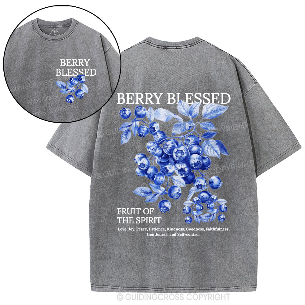 Fruit Of The Spirit Christian Washed T-Shirt