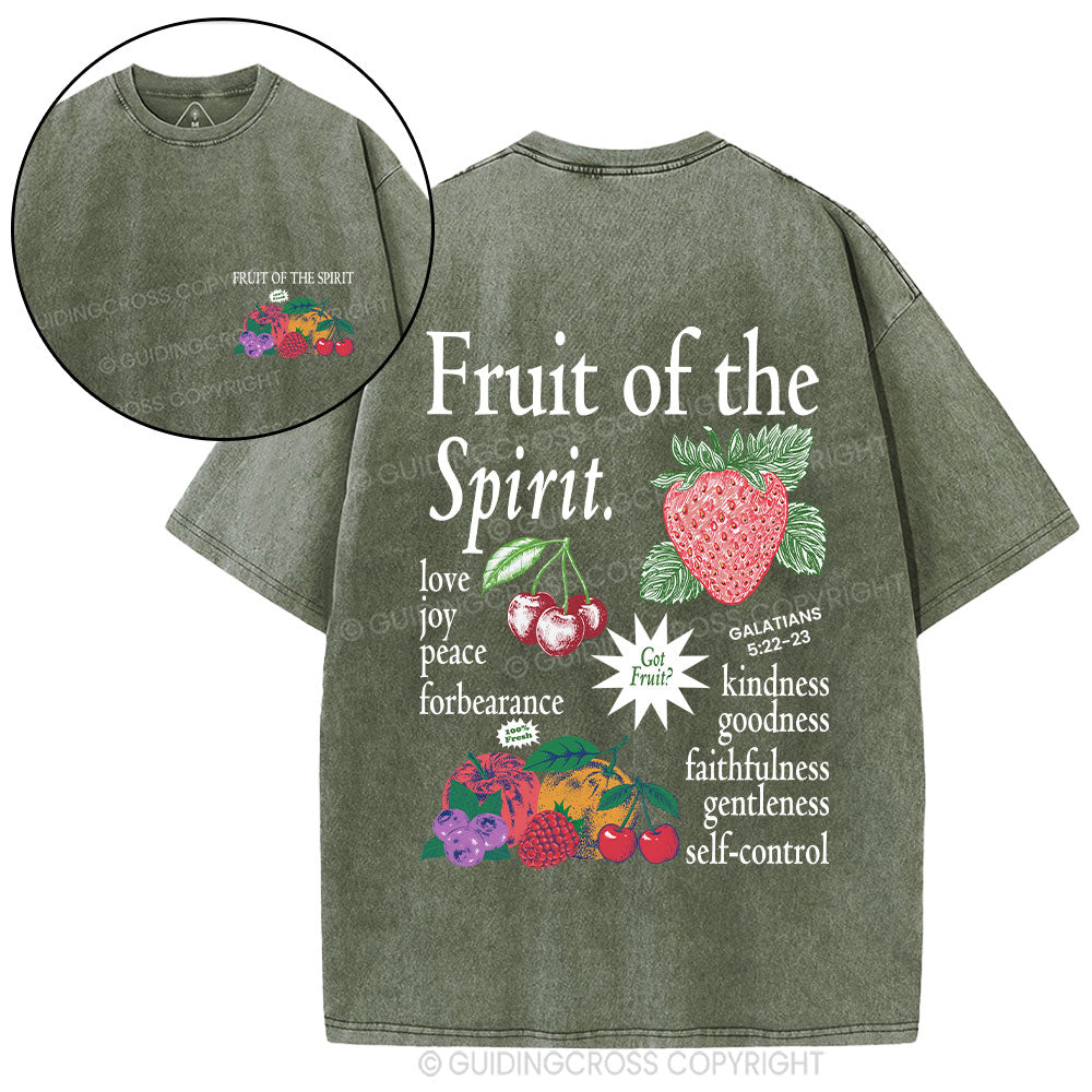Fruit Of The Spirit Christian Washed T-Shirt