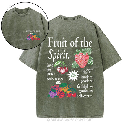 Fruit Of The Spirit Christian Washed T-Shirt
