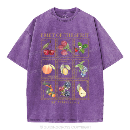 Fruit Of The Spirit Christian Washed T-Shirt