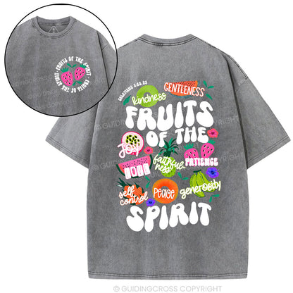 Fruit Of The Spirit Christian Washed T-Shirt