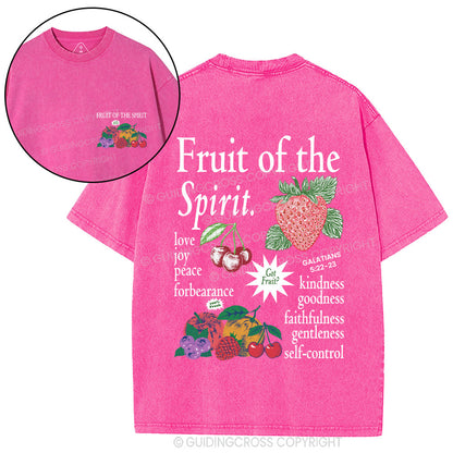 Fruit Of The Spirit Christian Washed T-Shirt