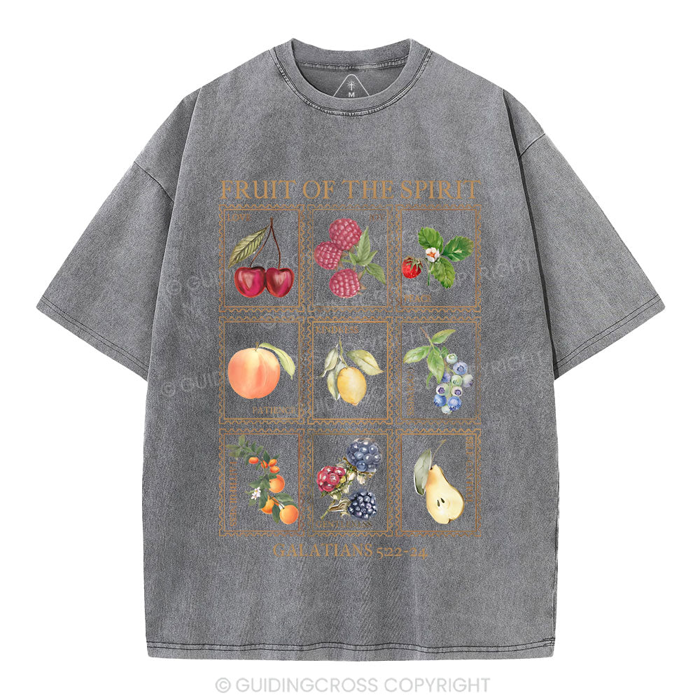 Fruit Of The Spirit Christian Washed T-Shirt