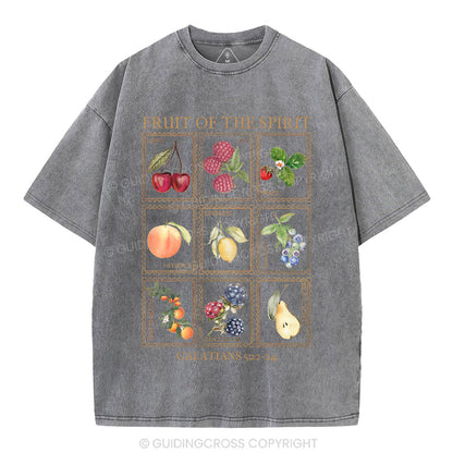 Fruit Of The Spirit Christian Washed T-Shirt
