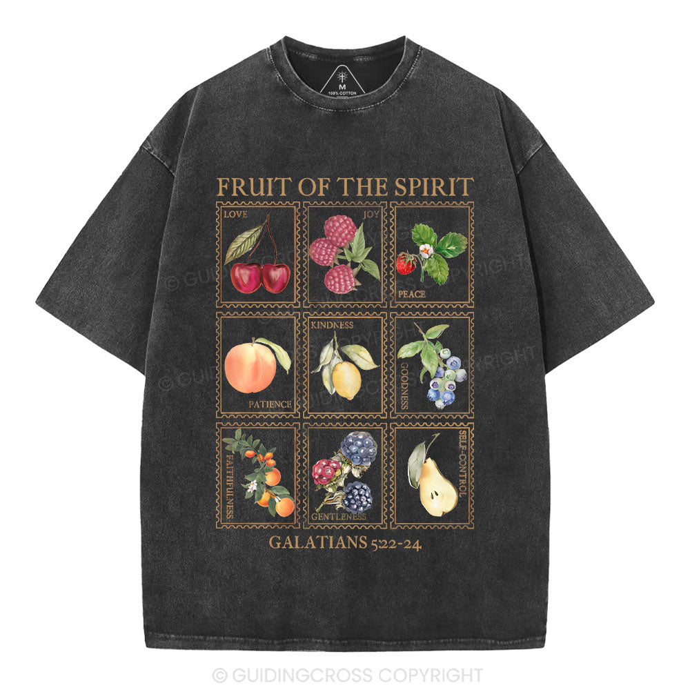 Fruit Of The Spirit Christian Washed T-Shirt