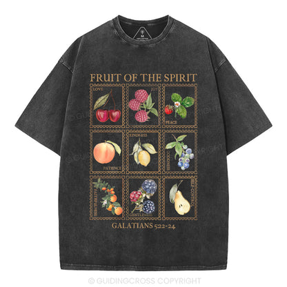 Fruit Of The Spirit Christian Washed T-Shirt