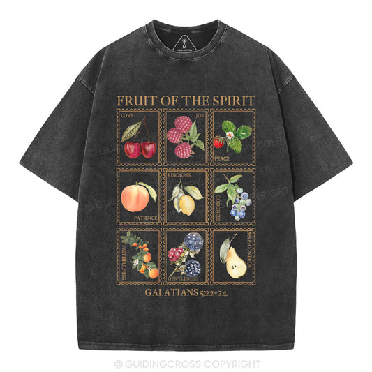 Fruit Of The Spirit Christian Washed T-Shirt