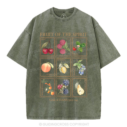 Fruit Of The Spirit Christian Washed T-Shirt