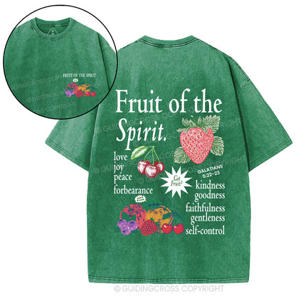 Fruit Of The Spirit Christian Washed T-Shirt