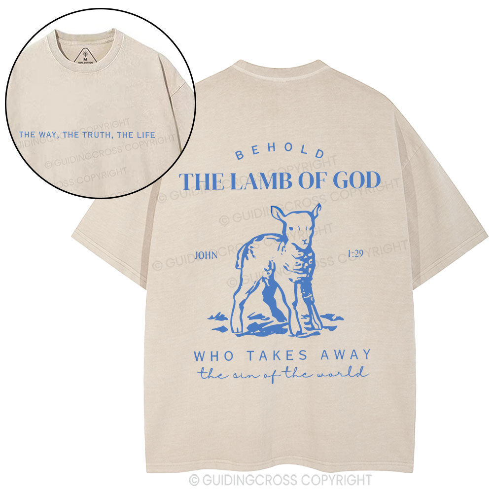 The Lamb Of God Christian Washed T-Shirt